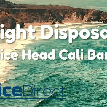 Spotlight Disposables: Juice Head Cali Bar Disposable Vape Pens - eJuice Direct - eJuiceDirect