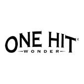 One Hit Wonder