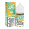 cloud-nurdz-salts-aloe-mango-ejuice